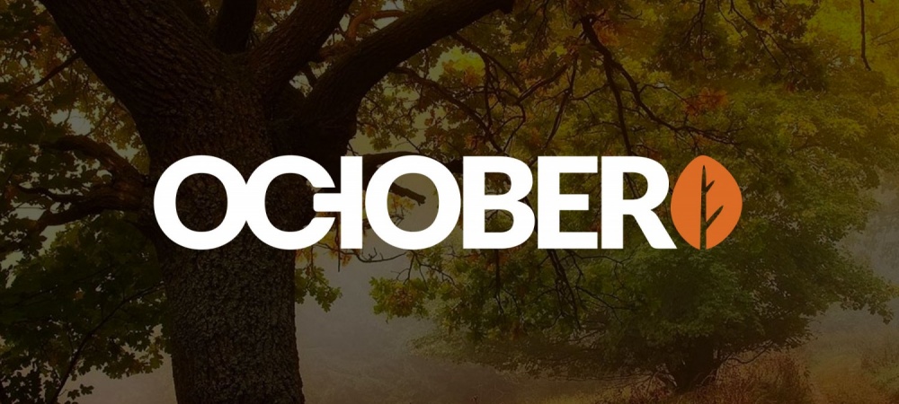 Featured image for Pixel Pixel renew our OctoberCMS partnership